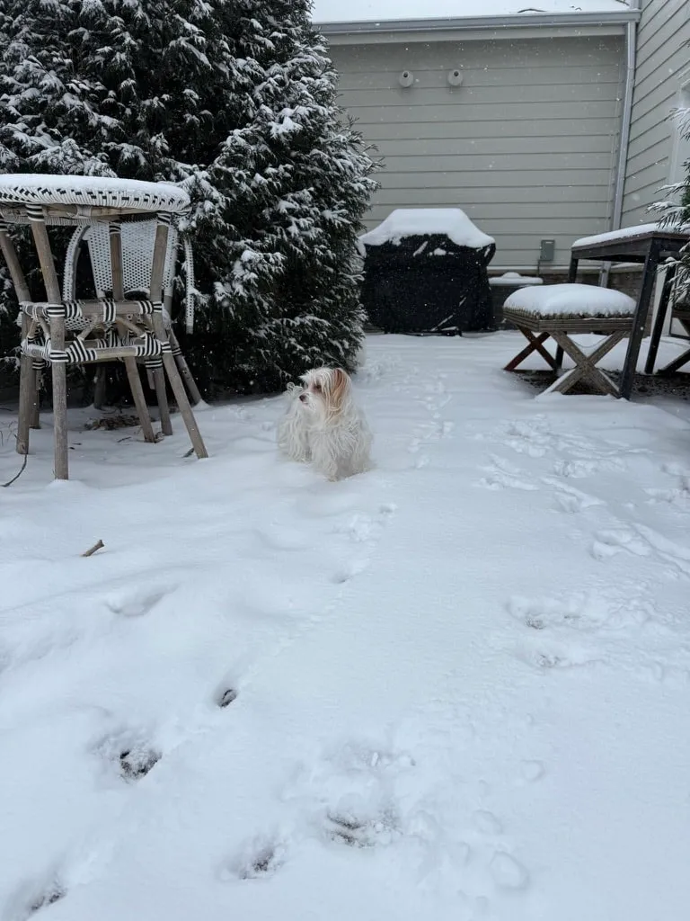 Winter-Proof Your Home: Keeping Salt, Slush and Mud Out